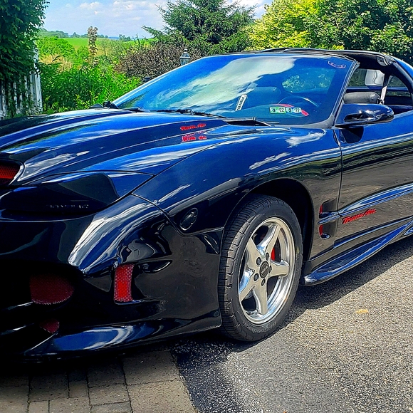 Meet your Posher, Chris - Picture 1 of 1